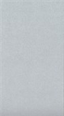 DIRECT PAPER METALLIC PAPER A4 120GSM SILVER PACK 10