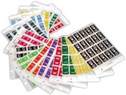 FILECORP COLOURFIND ALPHA LABEL E 03FCHCFALAP 40 LABELS